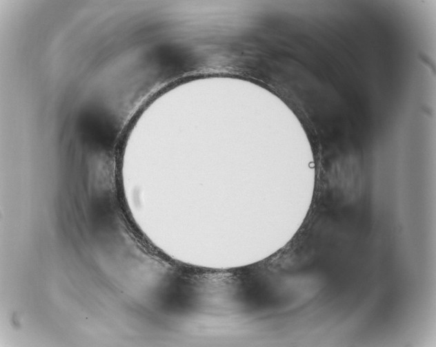 X0000103940108200810031331