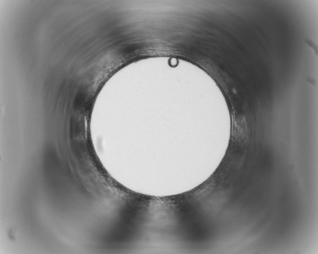 X0000103940109200810031331