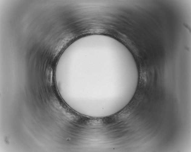 X0000103940110200810031331