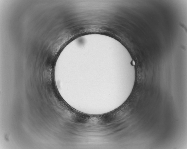 X0000103940111200810031331