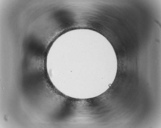 X0000103940112200810031331