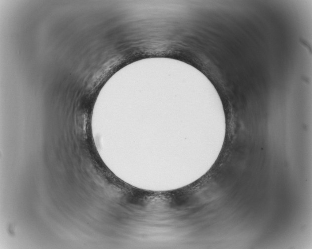 X0000103940115200810031331