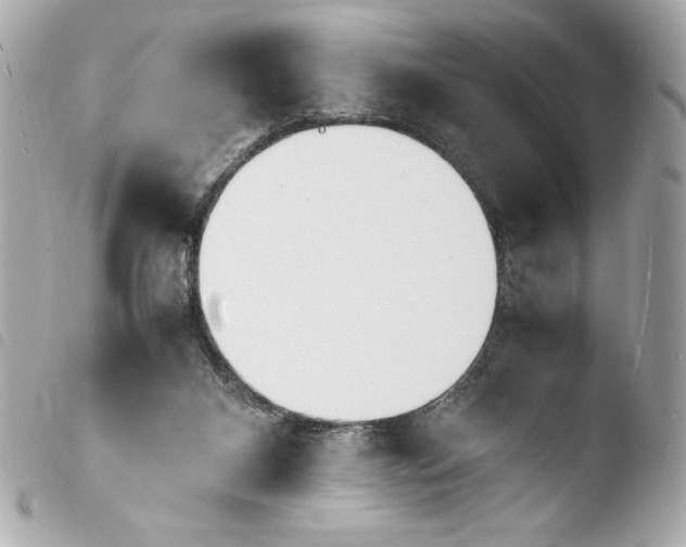 X0000103940116200810031331