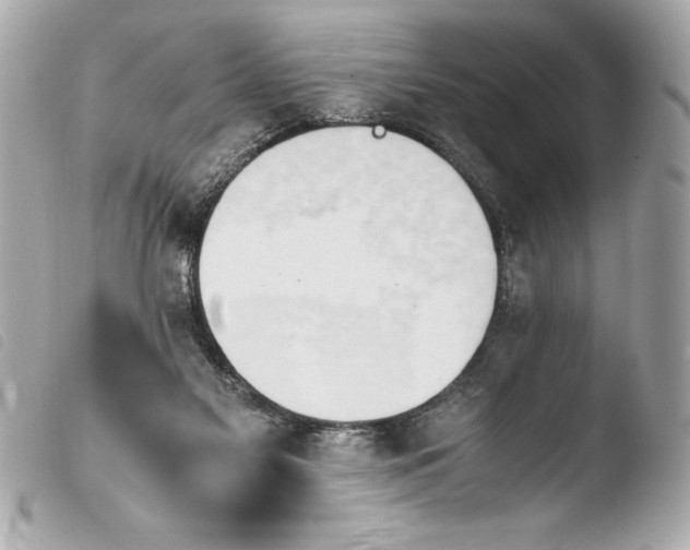 X0000103940117200810031331