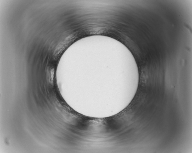 X0000103940118200810031331