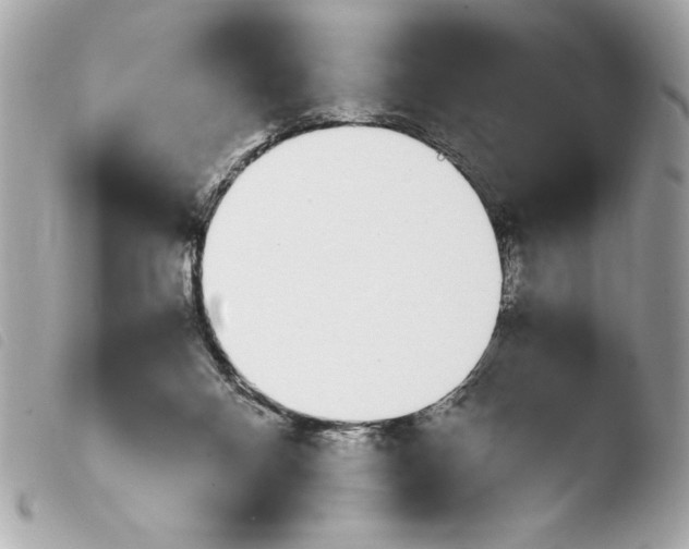 X0000103940120200810031331