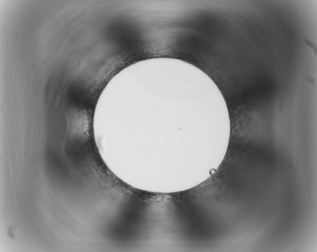 X0000103940124200810031331