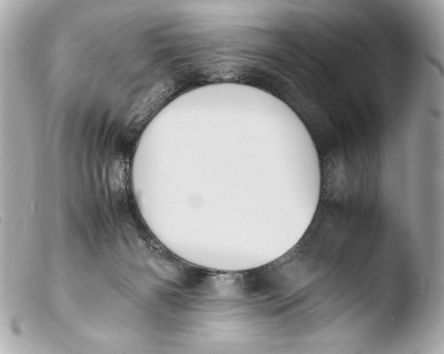 X0000103940126200810031331