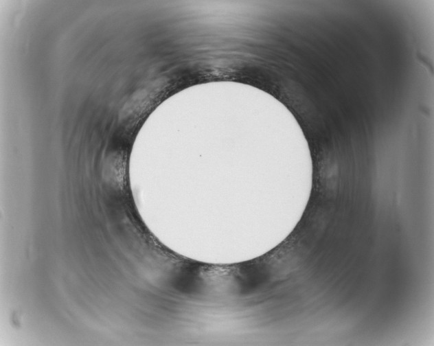 X0000103940129200810031331