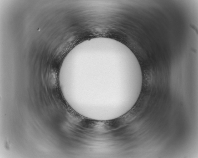 X0000103940130200810031331