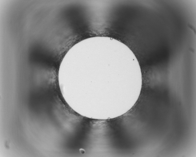 X0000103940132200810031331