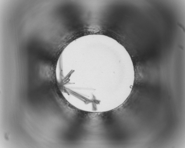 X0000103940136200810031331