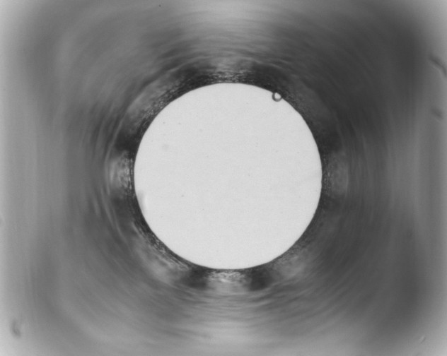 X0000103940137200810031331