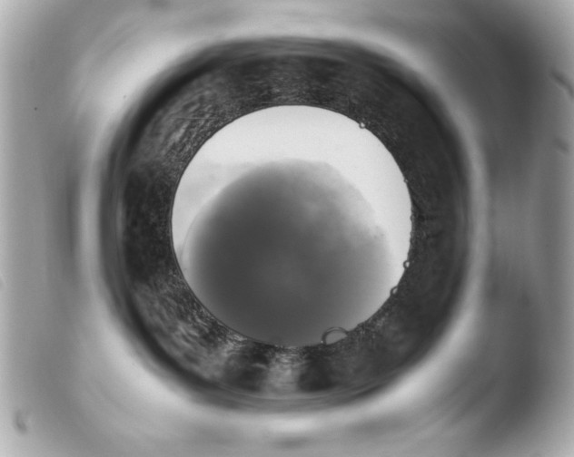 X0000103940143200810031331