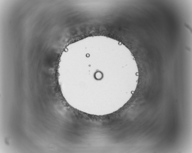 X0000103940144200810031331