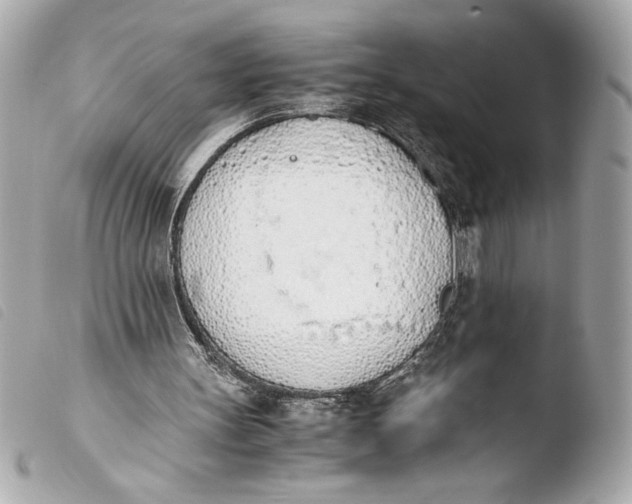 X0000103940147200810031330