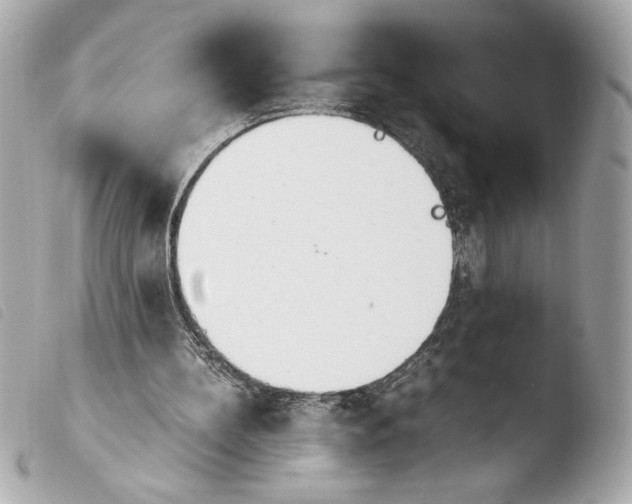 X0000103940148200810031330