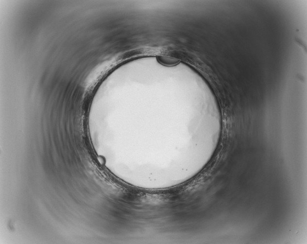 X0000103940149200810031330