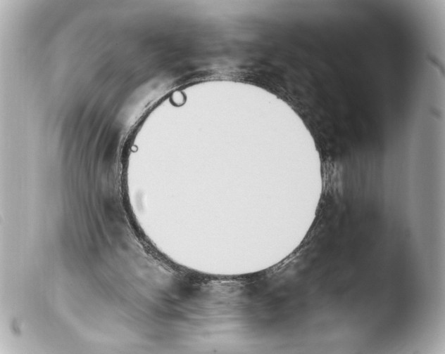 X0000103940150200810031330