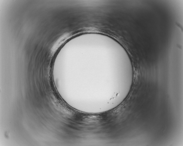 X0000103940151200810031330