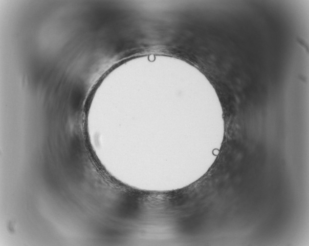 X0000103940152200810031330