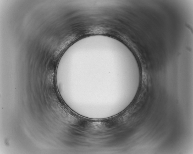 X0000103940153200810031330