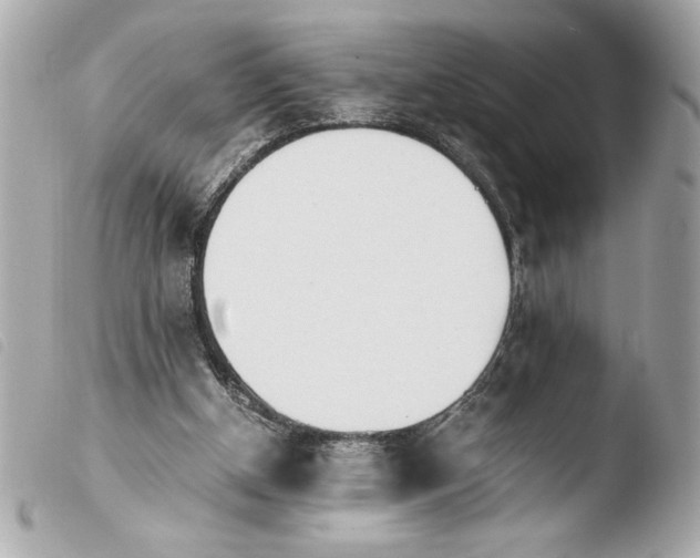 X0000103940154200810031330