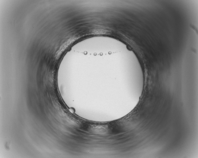 X0000103940155200810031330