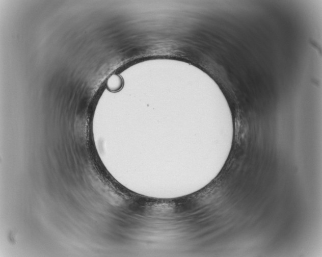 X0000103940156200810031330