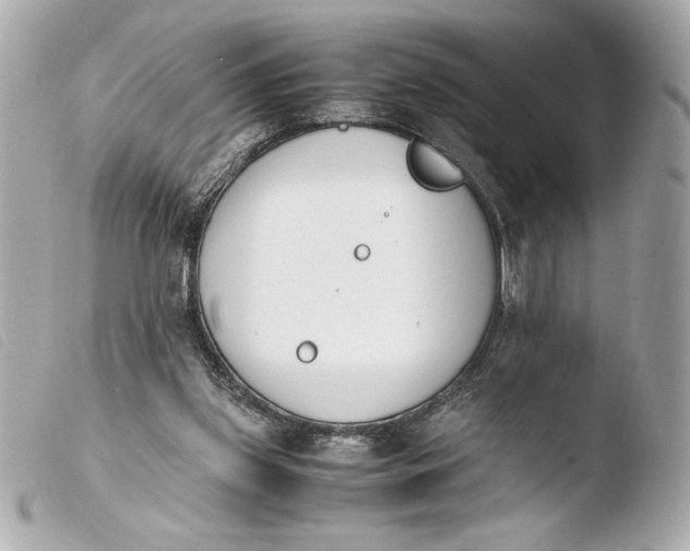 X0000103940157200810031330