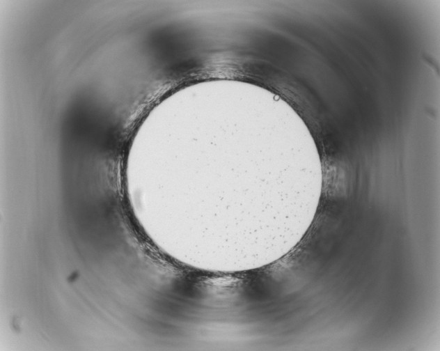 X0000103940158200810031330