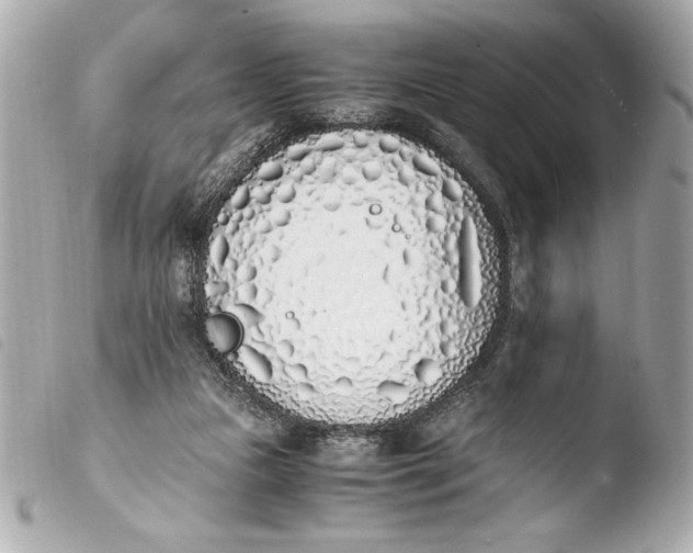 X0000103940161200810031330