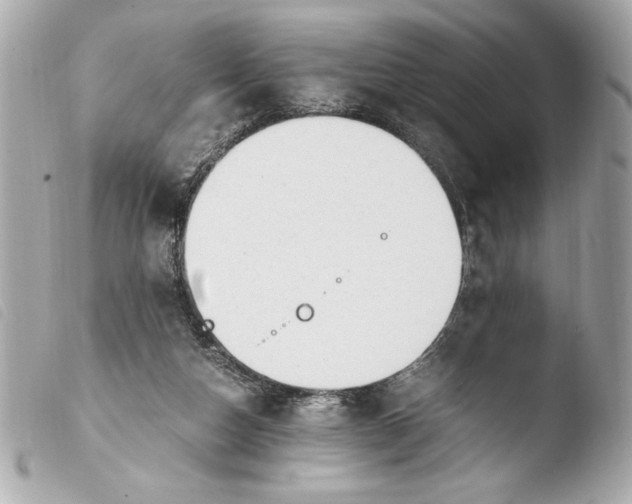 X0000103940162200810031330