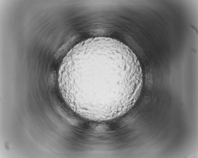 X0000103940165200810031330