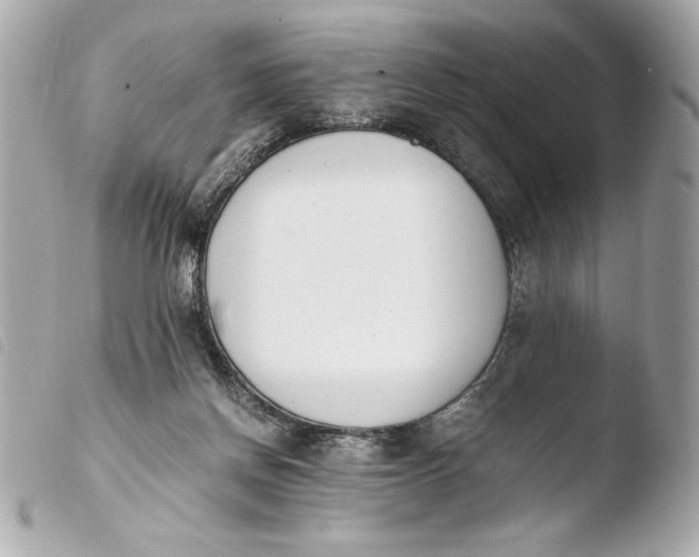 X0000103940166200810031330