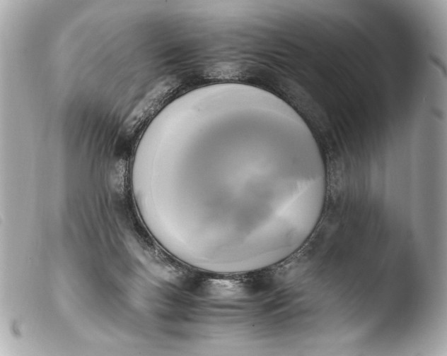 X0000103940167200810031330