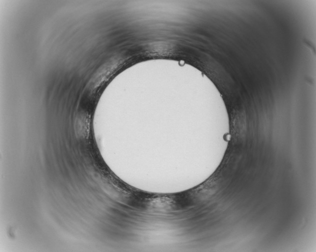 X0000103940168200810031330