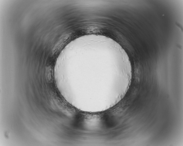 X0000103940169200810031330