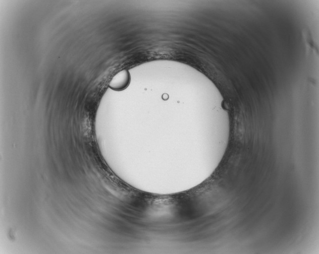 X0000103940173200810031330