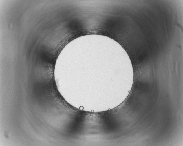 X0000103940174200810031330