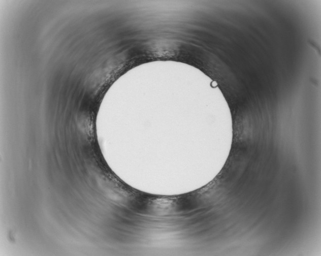 X0000103940176200810031330