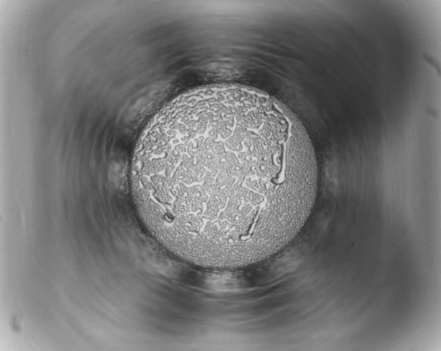 X0000103940177200810031330