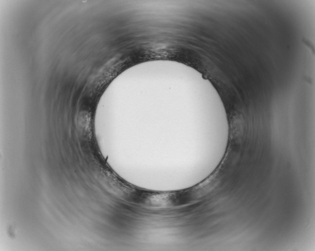 X0000103940178200810031331