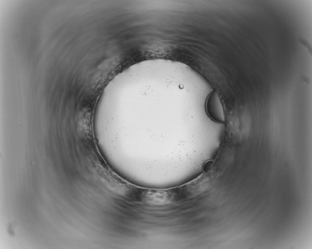 X0000103940181200810031331