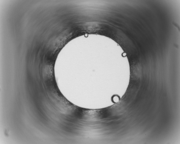 X0000103940184200810031331