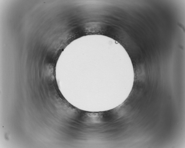 X0000103940187200810031331