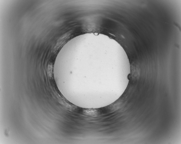 X0000103940189200810031331