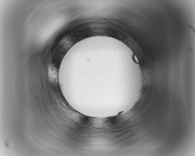 X0000103940191200810031331