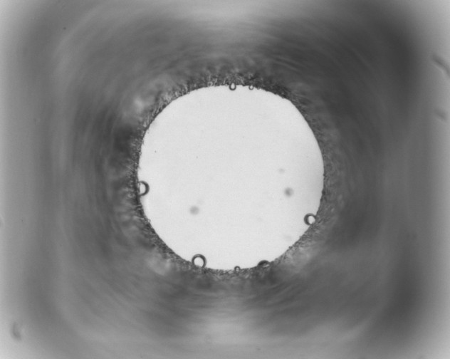 X0000103940192200810031331