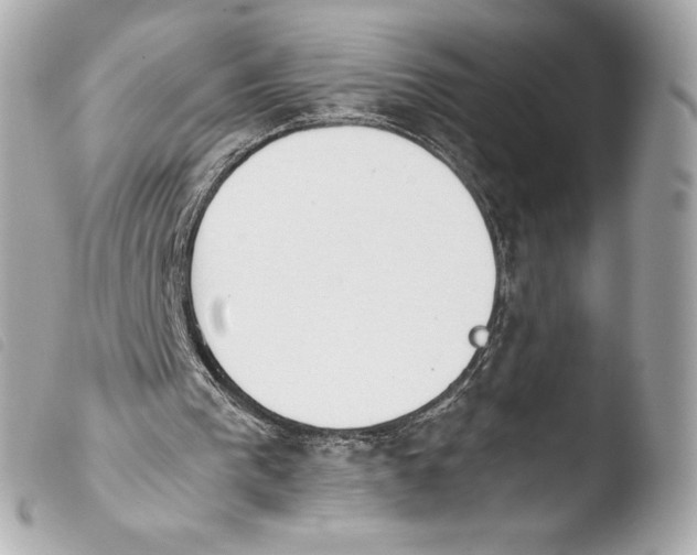 X0000103940193200810031330